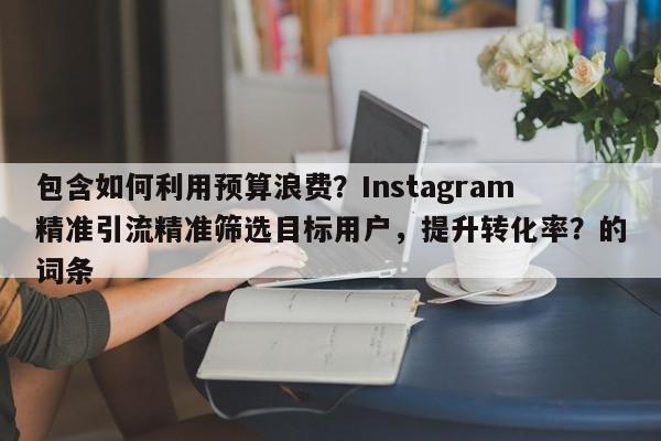 包含如何利用预算浪费？Instagram精准引流精准筛选目标用户，提升转化率？的词条