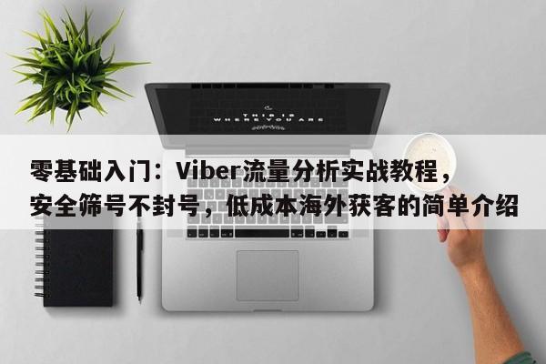 零基础入门：Viber流量分析实战教程，安全筛号不封号，低成本海外获客的简单介绍