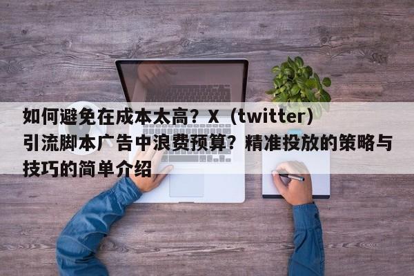 如何避免在成本太高？X（twitter）引流脚本广告中浪费预算？精准投放的策略与技巧的简单介绍
