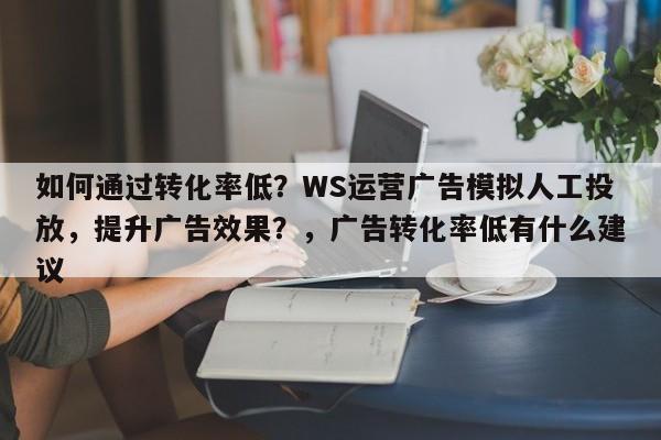如何通过转化率低？WS运营广告模拟人工投放，提升广告效果？，广告转化率低有什么建议