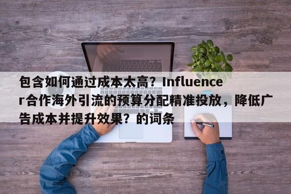 包含如何通过成本太高？Influencer合作海外引流的预算分配精准投放，降低广告成本并提升效果？的词条