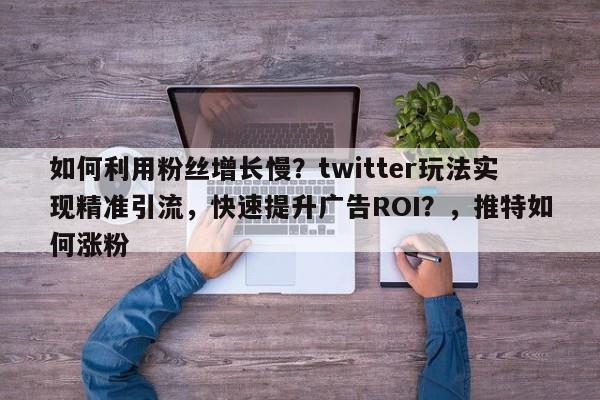 如何利用粉丝增长慢？twitter玩法实现精准引流，快速提升广告ROI？，推特如何涨粉