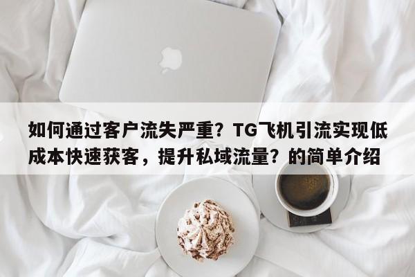如何通过客户流失严重？TG飞机引流实现低成本快速获客，提升私域流量？的简单介绍