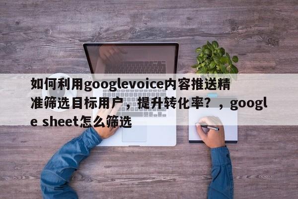 如何利用googlevoice内容推送精准筛选目标用户，提升转化率？，google sheet怎么筛选