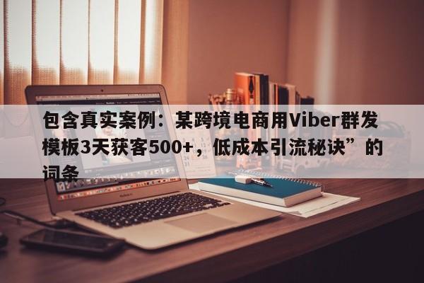 包含真实案例：某跨境电商用Viber群发模板3天获客500+，低成本引流秘诀”的词条