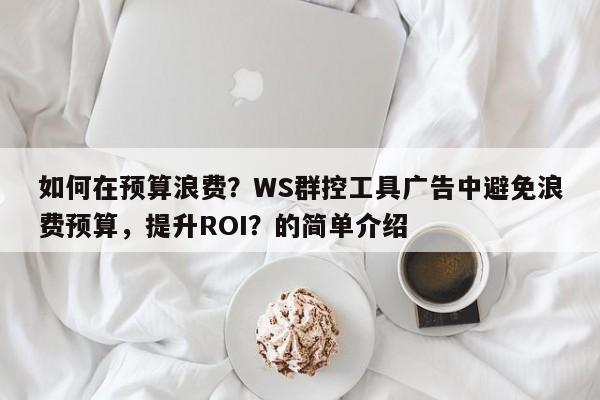 如何在预算浪费？WS群控工具广告中避免浪费预算，提升ROI？的简单介绍
