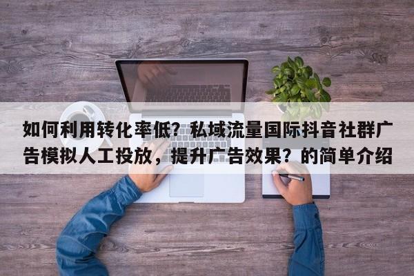 如何利用转化率低？私域流量国际抖音社群广告模拟人工投放，提升广告效果？的简单介绍