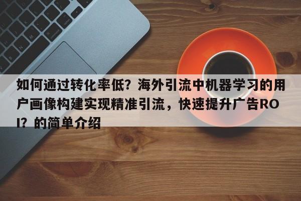 如何通过转化率低？海外引流中机器学习的用户画像构建实现精准引流，快速提升广告ROI？的简单介绍