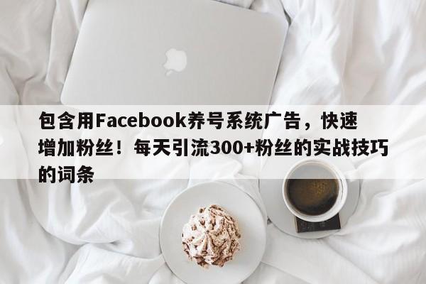包含用Facebook养号系统广告，快速增加粉丝！每天引流300+粉丝的实战技巧的词条