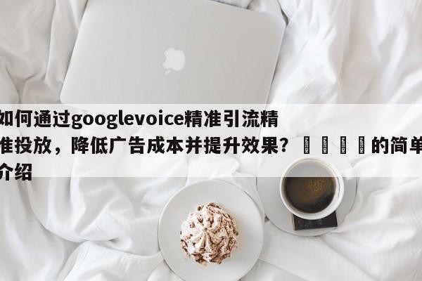 如何通过googlevoice精准引流精准投放，降低广告成本并提升效果？📈的简单介绍