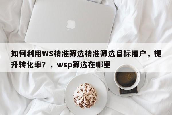 如何利用WS精准筛选精准筛选目标用户，提升转化率？，wsp筛选在哪里
