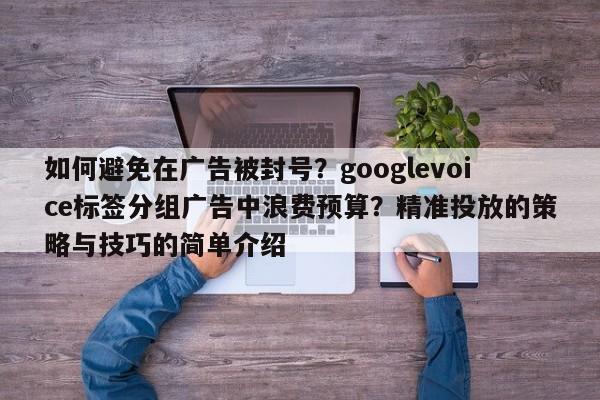 如何避免在广告被封号?googlevoice标签分组广告中浪费预算?精准投放的策略与技巧的简单介绍