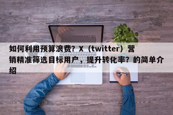 如何利用预算浪费？X（twitter）营销精准筛选目标用户，提升转化率？的简单介绍