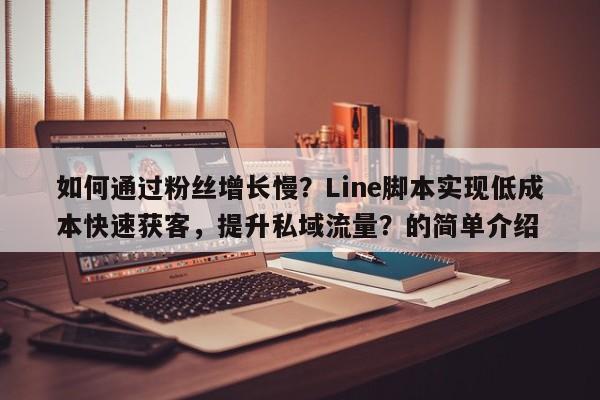 如何通过粉丝增长慢？Line脚本实现低成本快速获客，提升私域流量？的简单介绍