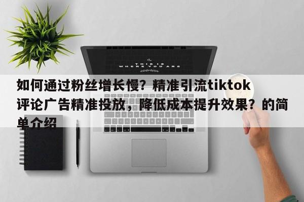 如何通过粉丝增长慢？精准引流tiktok评论广告精准投放，降低成本提升效果？的简单介绍