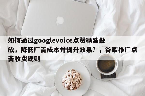 如何通过googlevoice点赞精准投放，降低广告成本并提升效果？，谷歌推广点击收费规则