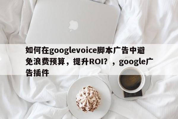 如何在googlevoice脚本广告中避免浪费预算，提升ROI？，google广告插件