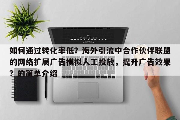 如何通过转化率低？海外引流中合作伙伴联盟的网络扩展广告模拟人工投放，提升广告效果？的简单介绍