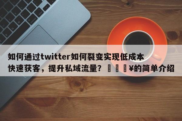 如何通过twitter如何裂变实现低成本快速获客，提升私域流量？💥的简单介绍