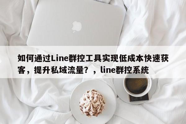 如何通过Line群控工具实现低成本快速获客，提升私域流量？，line群控系统