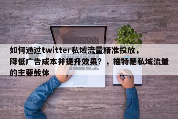 如何通过twitter私域流量精准投放，降低广告成本并提升效果？，推特是私域流量的主要载体
