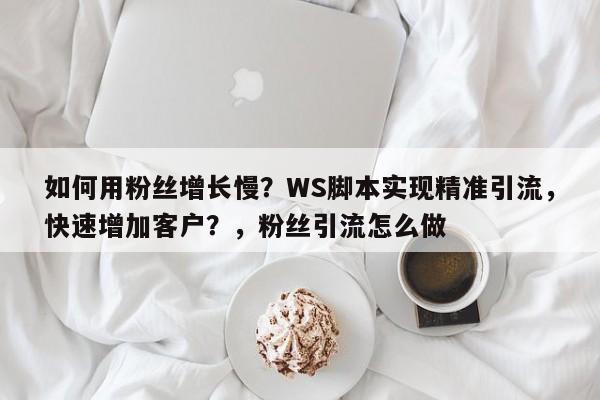 如何用粉丝增长慢？WS脚本实现精准引流，快速增加客户？，粉丝引流怎么做