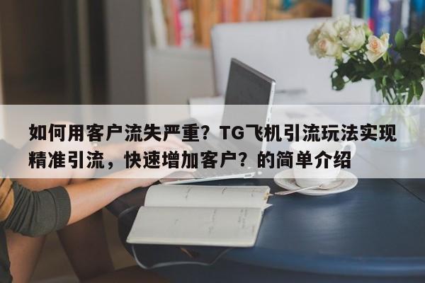如何用客户流失严重？TG飞机引流玩法实现精准引流，快速增加客户？的简单介绍