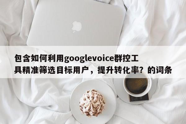 包含如何利用googlevoice群控工具精准筛选目标用户，提升转化率？的词条