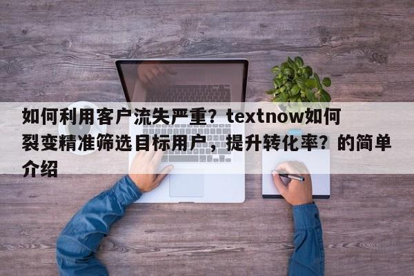 如何利用客户流失严重？textnow如何裂变精准筛选目标用户，提升转化率？的简单介绍