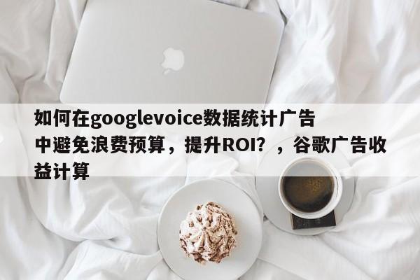 如何在googlevoice数据统计广告中避免浪费预算，提升ROI？，谷歌广告收益计算