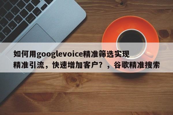 如何用googlevoice精准筛选实现精准引流，快速增加客户？，谷歌精准搜索
