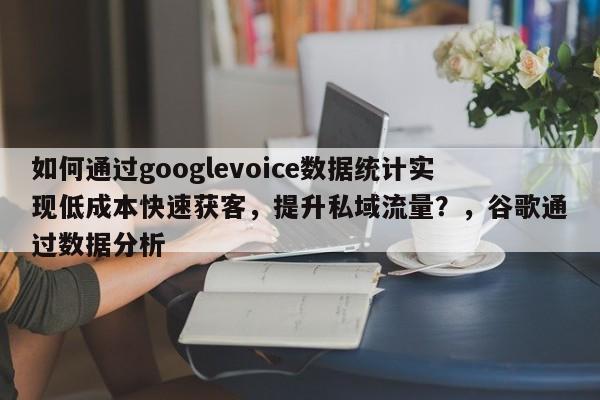 如何通过googlevoice数据统计实现低成本快速获客，提升私域流量？，谷歌通过数据分析