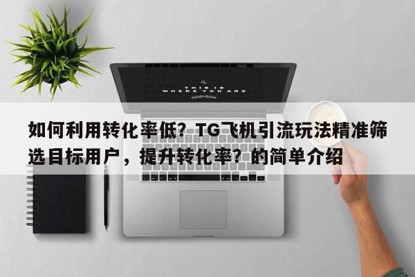 如何利用转化率低？TG飞机引流玩法精准筛选目标用户，提升转化率？的简单介绍