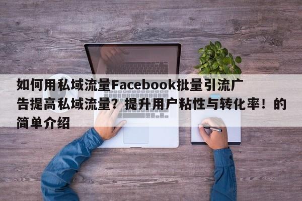 如何用私域流量Facebook批量引流广告提高私域流量？提升用户粘性与转化率！的简单介绍