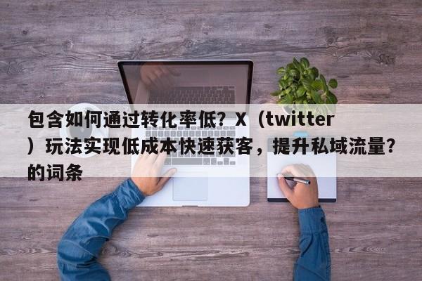 包含如何通过转化率低？X（twitter）玩法实现低成本快速获客，提升私域流量？的词条