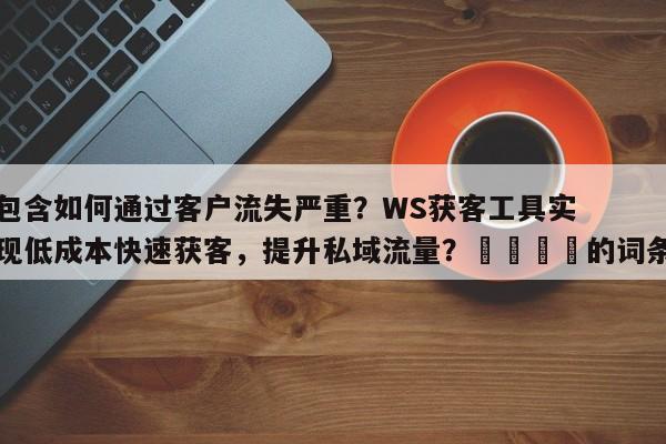 包含如何通过客户流失严重？WS获客工具实现低成本快速获客，提升私域流量？💡的词条
