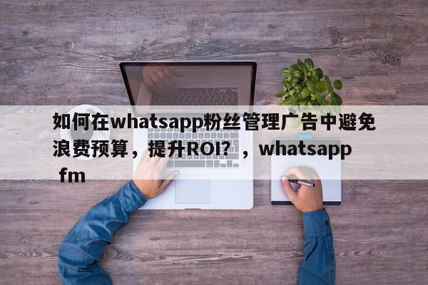 如何在whatsapp粉丝管理广告中避免浪费预算，提升ROI？，whatsapp fm
