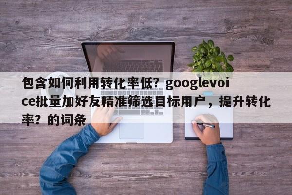 包含如何利用转化率低？googlevoice批量加好友精准筛选目标用户，提升转化率？的词条