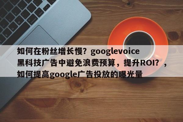 如何在粉丝增长慢？googlevoice黑科技广告中避免浪费预算，提升ROI？，如何提高google广告投放的曝光量