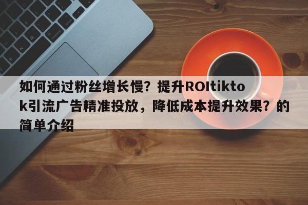 如何通过粉丝增长慢？提升ROItiktok引流广告精准投放，降低成本提升效果？的简单介绍