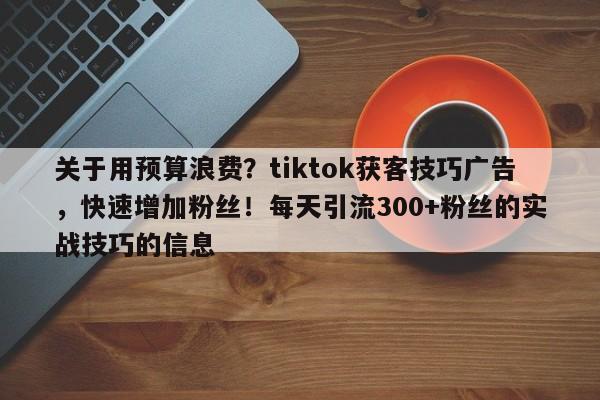 关于用预算浪费？tiktok获客技巧广告，快速增加粉丝！每天引流300+粉丝的实战技巧的信息