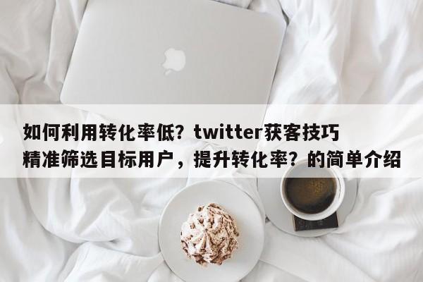如何利用转化率低？twitter获客技巧精准筛选目标用户，提升转化率？的简单介绍