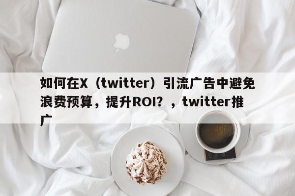 如何在X（twitter）引流广告中避免浪费预算，提升ROI？，twitter推广