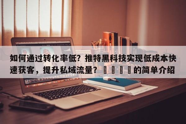 如何通过转化率低？推特黑科技实现低成本快速获客，提升私域流量？🚀的简单介绍