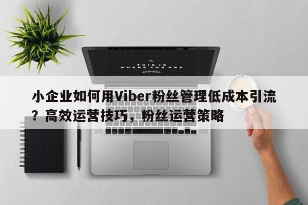 小企业如何用Viber粉丝管理低成本引流?高效运营技巧,粉丝运营策略