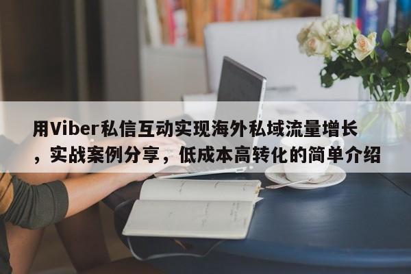 用Viber私信互动实现海外私域流量增长，实战案例分享，低成本高转化的简单介绍