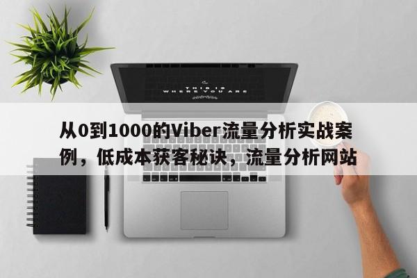 从0到1000的Viber流量分析实战案例，低成本获客秘诀，流量分析网站