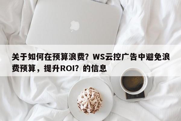 关于如何在预算浪费？WS云控广告中避免浪费预算，提升ROI？的信息