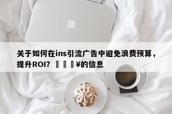 关于如何在ins引流广告中避免浪费预算，提升ROI？💥的信息