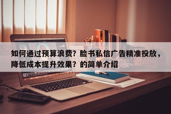 如何通过预算浪费？脸书私信广告精准投放，降低成本提升效果？的简单介绍